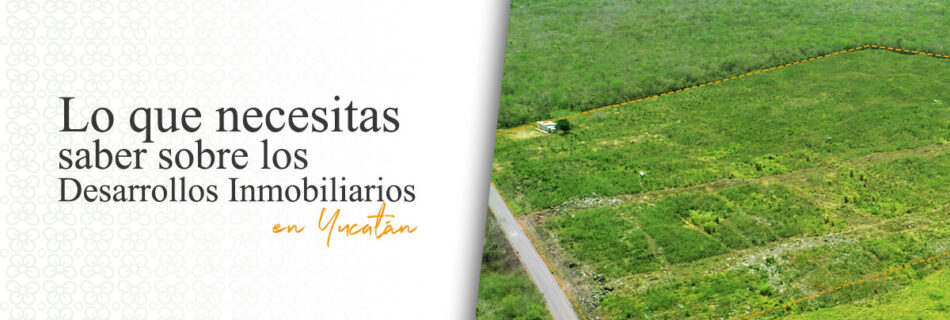 Desarrollos Inmobiliarios en Yucatán | Sky 6 Real Estate