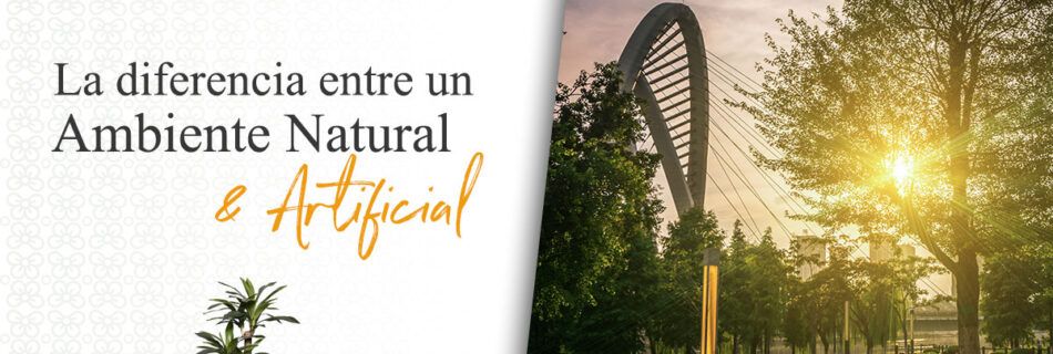 La diferencia entre un Ambiente Natural y Artificial | Sahumal Valladolid